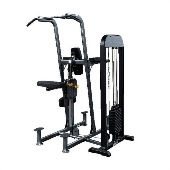 Body-Solid FCDSTK3 Pro Select Weight Assisted Dip and Chin Station, Steel, 310 lbs Stack, Home Gym