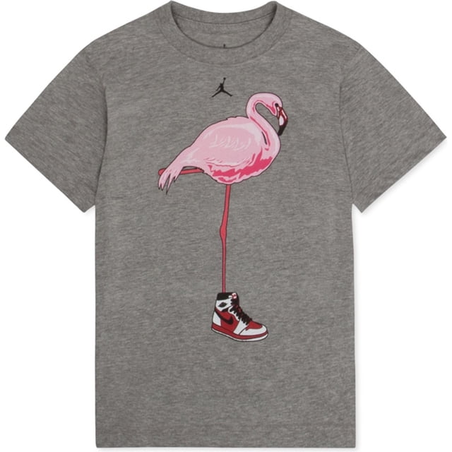 jordan boys flamingo graphic camiseta, gris, S (7) camiseta Jordan para niño, vista frontal centrada con cuello redondo y ajuste clásico; gris oscuro, manga corta y 100% algodón. Estampado grande de flamenco rosa sobre una pierna que sostiene una zapatilla estilo Jordan roja y blanca, temática deportiva informal.