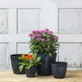 thumbnail image 2 of Root & Vessel Dolce Round Planter, Black, 12", 2 of 5