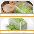 thumbnail image 2 of Shisuyan Rutin Chicken Automatic Food Feeder Transparent Rutin Chicken Food Holder Feeding Trough, 2 of 9