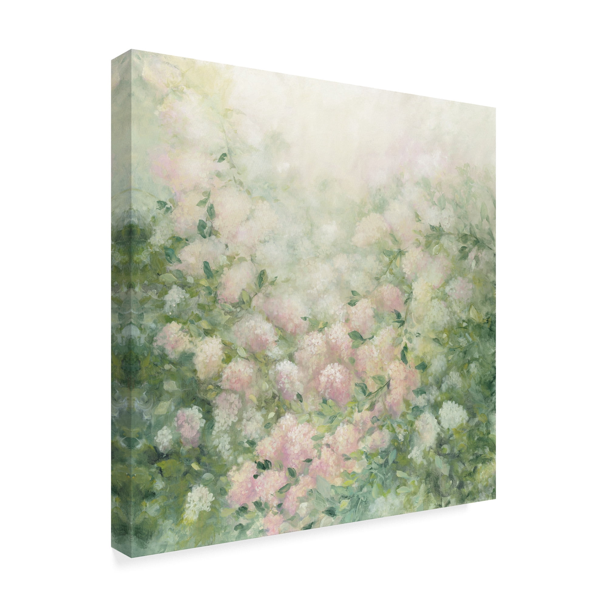 Trademark Fine Art 'Dreamy' Canvas Art by Julia Purinton