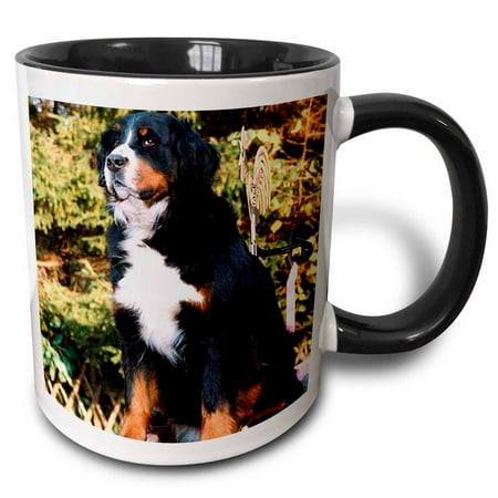 Rose Bernese Mountain Dog Two Tone Black Mug 11 Ounce Rose Bernese Mountain Dog Two Tone Black Mug 11 Ounce
