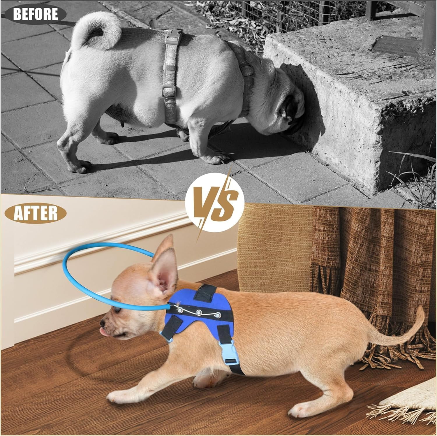 Adjustable Blind Dog Halo Harness with Protective Ring, Guiding Aid for Visually Impaired Pets, 8.5–12.5 in
