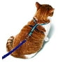 PetSafe Come With Me Kitty Glitter Harness and Bungee Cat Leash, Large