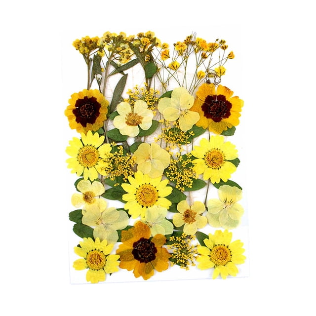 30 piezas de flores secas prensadas reales, kit natural a granel de hojas secas para manualidades, Amarillo