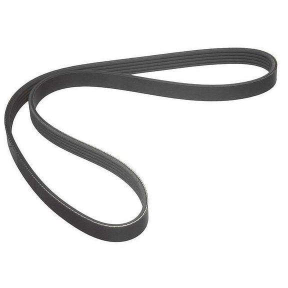 Air Conditioning Multi Rib Belt - Compatible with 1997 - 2001 BMW 740i 1998 1999 2000