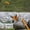 Gold, variant on Compact Pen Fishing Rod With Reel Mini Pole Rotating Wheel Ideal for Outdoor Fishing Accessories