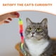 thumbnail image 2 of 5 uds bolas interactivas para gatos pelotas hinchables para gatos con gusano arcoíris juguetes de persecución para gatos, 2 of 5