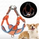 thumbnail image 2 of Arnés para perros, correa ajustable, chaleco para mascotas, para perros pequeños y grandes, malla reflectante, correa para el pecho para cachorros y gatos, accesorios para perros, 2 of 5