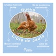 thumbnail image 4 of Huevo blanco El Gallo libre de jaula 12 pzas, 4 of 5