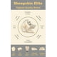 thumbnail image 2 of Toalla de Secado Gamuza Sheepskin Elite Superabsorbente Natural para Coche, 2 of 8