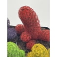 thumbnail image 4 of Colored Cactus / Desert Gem / Painted Dyed Blue / Red / Purple / Yellow / Pink / Green, Orange Cactus Rainbow Cactus, 4 of 9