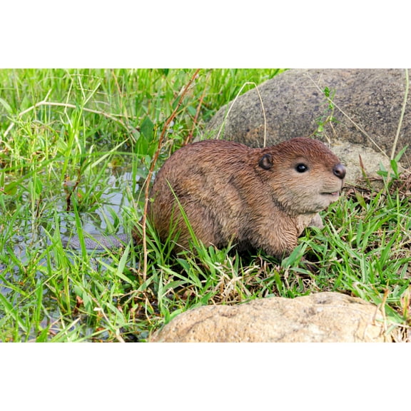 Hi-Line Gifts American Beaver Cub Outdoor Garden Statue - 13.75"