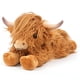 thumbnail image 1 of Almohadilla térmica de peluche Highland Cow, apta para microondas, 1 of 8