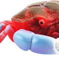 thumbnail image 4 of animals figurine,Mini Crabs Figurines Hand Painted Animals,Realistic Detailed Crabs Figures Cake Toppers,Desktop Craft Animal Sculpture Crabs Figurine,Crabs Model Action Figures sculpture Hugo none, 4 of 9