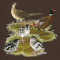 thumbnail image 3 of CafePress - Pheasant Family Dark T Shirt - Men's Classic Graphic Cotton T-Shirt, 3 of 4