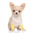 thumbnail image 4 of Unique Bargains Pack of 4 Dog Soft Knitted Socks Joint Protection Yellow White L, 4 of 7