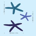 thumbnail image 3 of shiyou-BiOrb 46143.0 Starfish Set 3 Blue Aquariums, 3 of 4