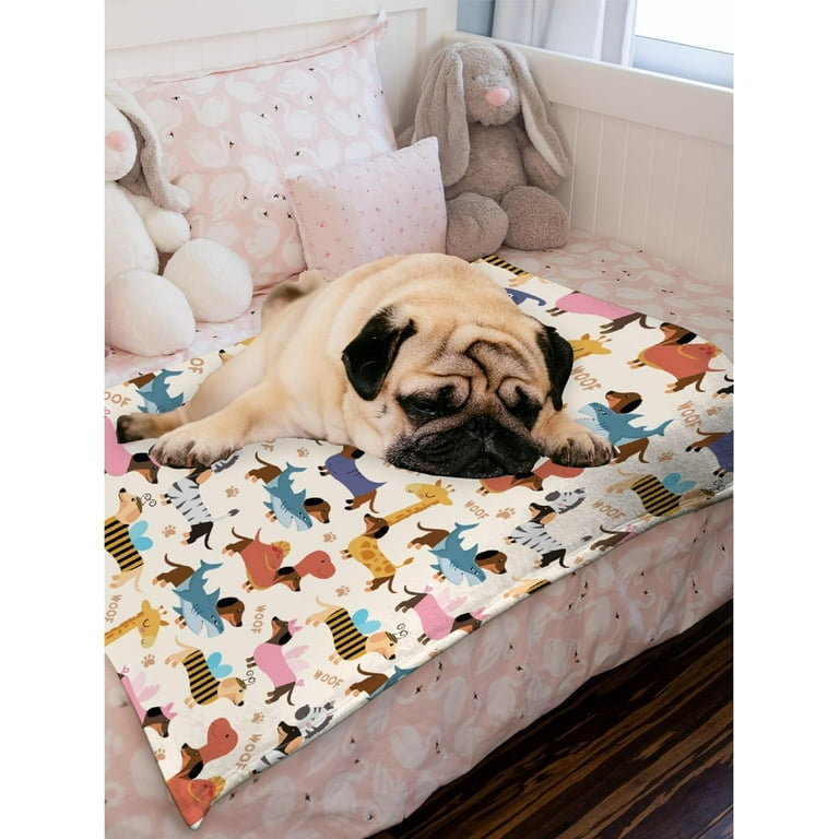 Dachshund Dogs Baby Blanket Food Blanket Gifts Super Soft Swaddle Toddler Blanket Newborn Infant Nursery Blanket for Stroller Crib XS 30x40 in for Pet Toddler Walmart