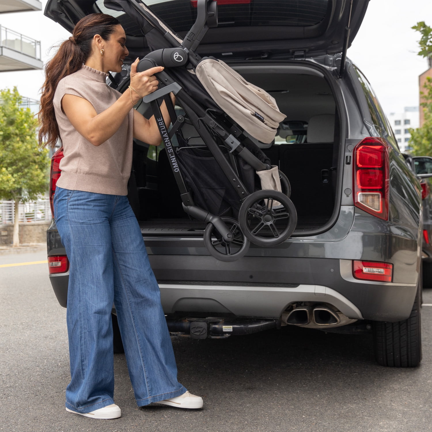 Evenflo Omni Signature Travel System with LiteMax Infant Car Seat, Porto Black