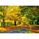 thumbnail image 1 of Pintura de diamante (DB5302) Kit de bricolaje Hojas de árbol Camino Cuadro de arte de diamantes de imitación redondo completo 40x50cm Hugtrwg Para estrenar, 1 of 1