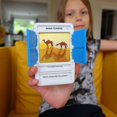thumbnail image 2 of Juego de viaje con 100 fotos de acertijos: resuelve 100 rompecabezas Tarjetas flash con estuche revelador de diapositivas Juego de cartas Relleno de medias de regalo Horas de diversión para niños y ad, 2 of 3