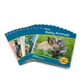 thumbnail image 2 of Junior Learning Letters & Sounds Phase 1 Set 2 Non-Fiction Educational Learning Set, 2 of 3