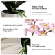 thumbnail image 3 of Flor falsa de tres puntas phalaenopsis bonsái de escritorio pequeña planta decorativa decoración flor artificial planta verde artificial, 3 of 5