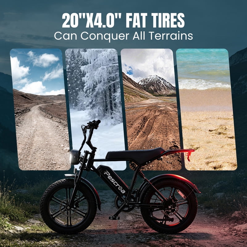 Pescroa Electric Bike for Adults, 750W Motor, 20"x4" Fat Tire, 28MPH Pedal-Assist Mode, E Mountain Bike, 48V/15AH , Tested to UL2849 Standard by SGS
