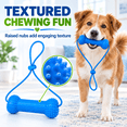 Freshwoof Dog Teeth Brushing Chew Toy, Dual Action Bite and Brush Toy ...