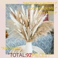 thumbnail image 4 of Ramo de hierba Pampas seca 92 piezas | Junco natural, blanco y mezcla de colores | Decoración Bohemia de 17" de altura | Elegante relleno de jarrón para salón, boda y centro de mesa | Cuidado, 4 of 5