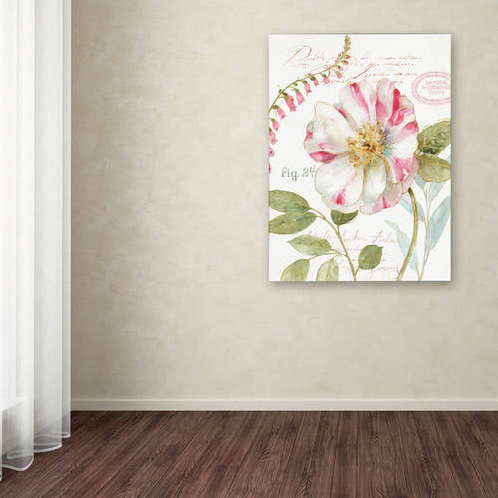 Trademark Fine Art "Rainbow Seeds Botanical II" Canvas Art by Lisa Audit