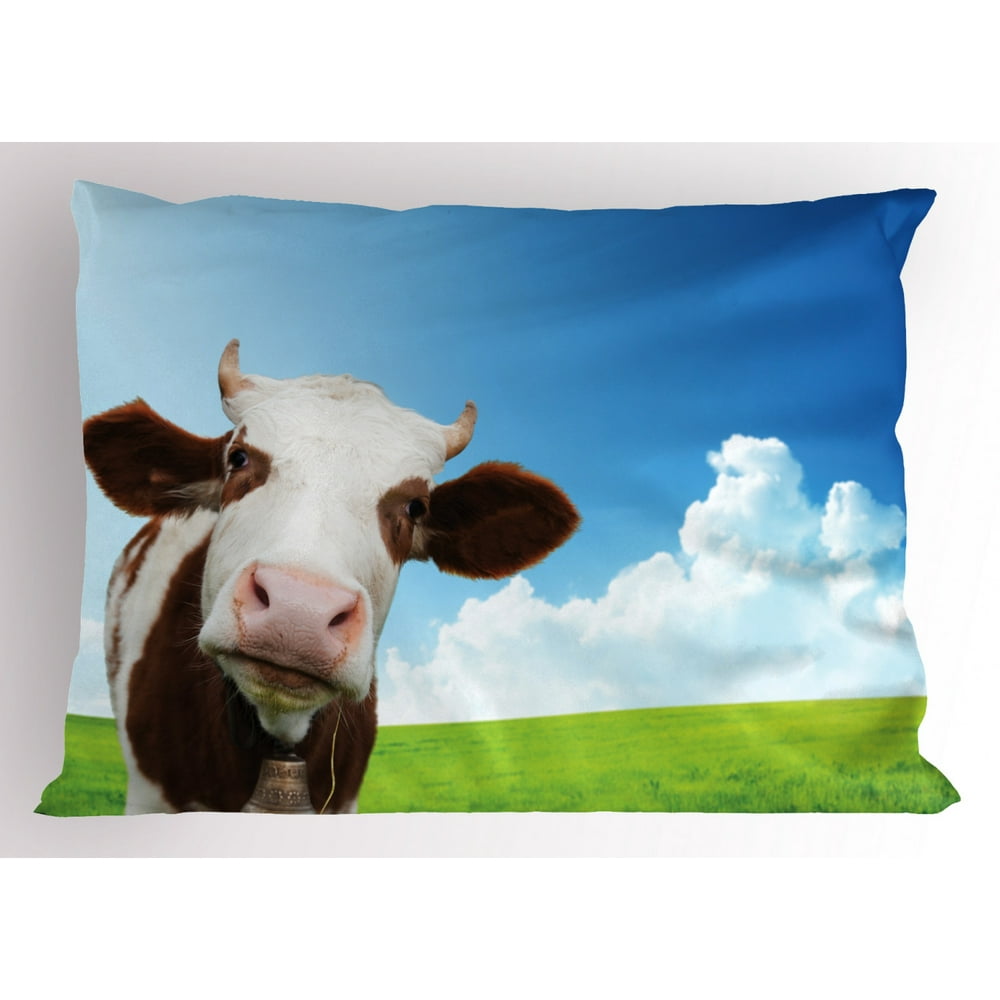 Cattle Pillow Sham Cute Brown and White Cow Staring from the Landscape of Wide Green Field and