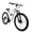 White, variant on 24 Inch Mountain Bike, Full Suspension 21-Speed Mountain Bicycle with Dual Disc Brakes, Carbon Steel Frame MTB Bike for Teenagers Adult Men Women, Silver