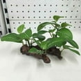 thumbnail image 1 of Forzero Artificial Fake Turtle Fish Tank Plants Grass Aquarium Aquatic Landscaping Decoration Ornament, 1 of 3