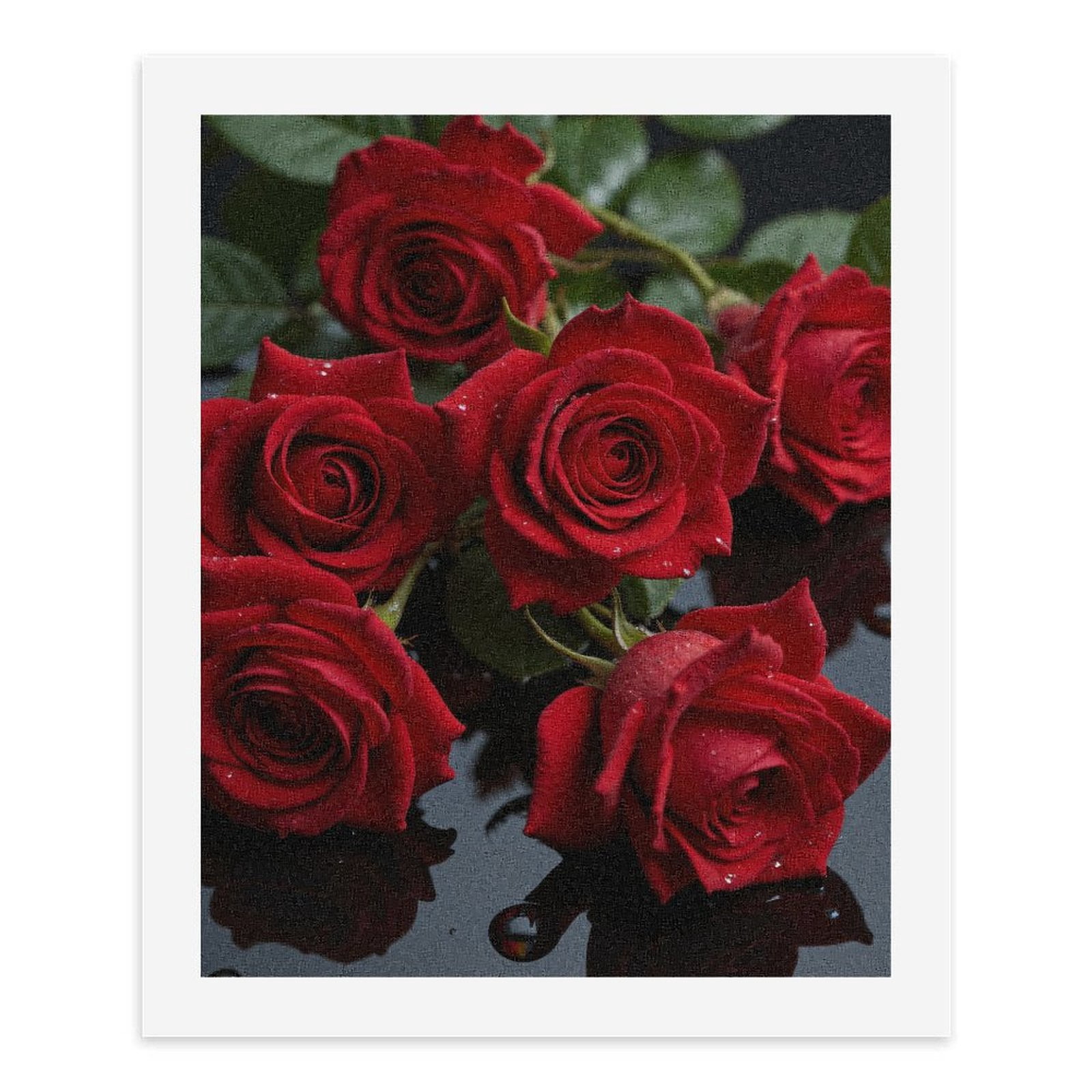 Paint By Numbers Kit for Adults Beginner - DIY Red Roses With Water Droplets Canvas Painting Kits for Adults, Frameless Paint By Number for Adults for Home Wall Decor 16x20 Inch