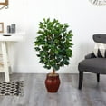 thumbnail image 2 of 44??Ficus Tree w/Decorative Planter, 2 of 5