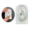 thumbnail image 1 of fastboy Silicone Soft Ear Model Teaching Tool  Props  Display White, 1 of 1