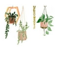 thumbnail image 3 of Wang, Melissa 24x20 Black Modern Framed Museum Art Print Titled - Hanging Greens III, 3 of 5