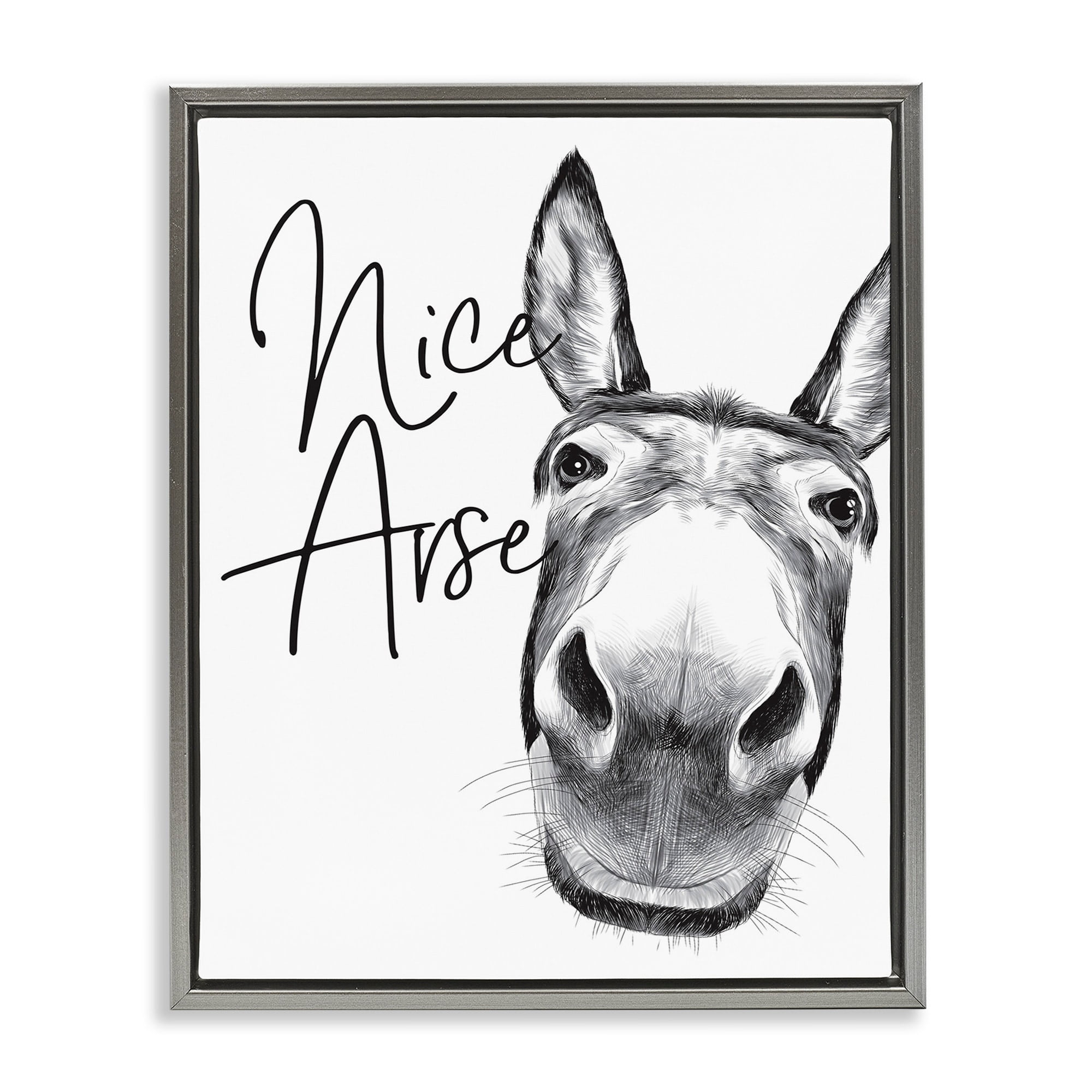 Stupell Industries Animal Humor Nice Arse Donkey Bathroom Phrase Luster Gray Framed Floating Canvas Wall Art, 16x20, by Lettered and Lined