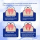 thumbnail image 5 of Fiudx Pasta Dental, Gel Blanqueador, Pasta Protectora, Alien Fresco, Diario Durante, Cepillado, Todas Las Edades, Fórmula Suave 50 G, 5 of 7