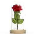 thumbnail image 5 of Beauty and Beast glass cover rose lamp simulation rose LED lamp Mother's Day decoration Valentine's Day gift., 5 of 6