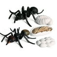 thumbnail image 4 of Realistic Ant Growth Cycle Figurine Set Kids Simulated Animal Educational Toys, 4 of 5