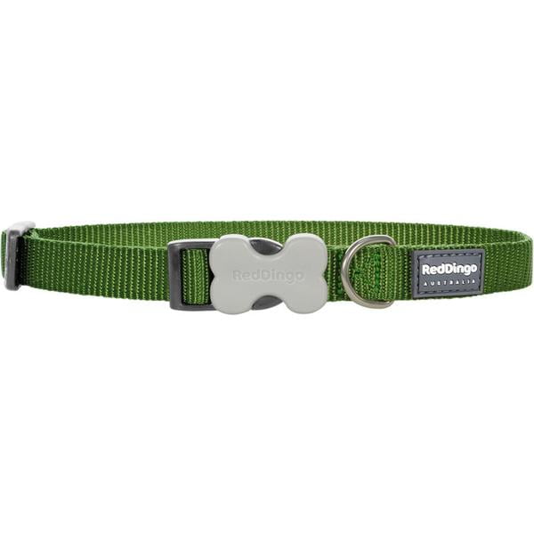Red Dingo Classic Green Dog Collar, Medium