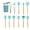 dark green, variant on 12 Pcs Silicone Cooking Utensil Set Wooden Handle Cooking Tools BPA Free Kitchen Gadgets with Holder(purple)