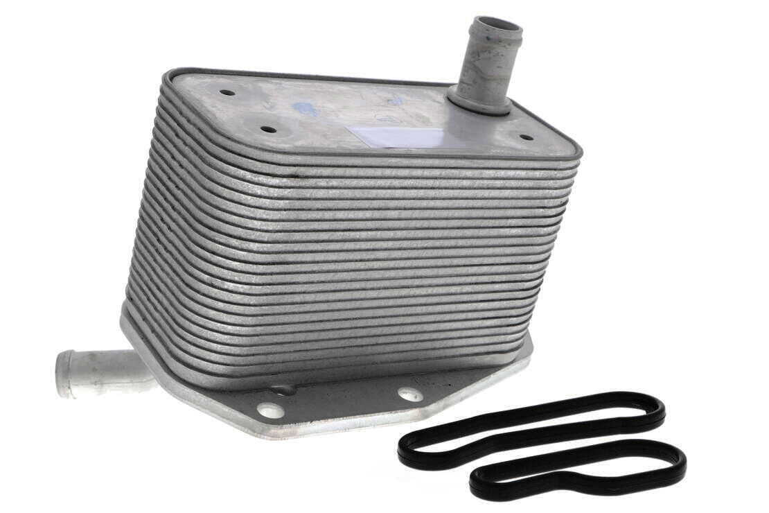 VEMO V48-60-0022 Oil Cooler, engine oil