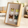 thumbnail image 2 of Real Butterfly Specimen Random Happy Birthday Gift Butterflies Hanging Wall Photo Frame Ornament Home Christmas Decorations, 2 of 9