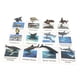 thumbnail image 4 of Figuras de Animales Sunnimix 12 Unids con Tarjetas Flash Realistas, 4 of 8