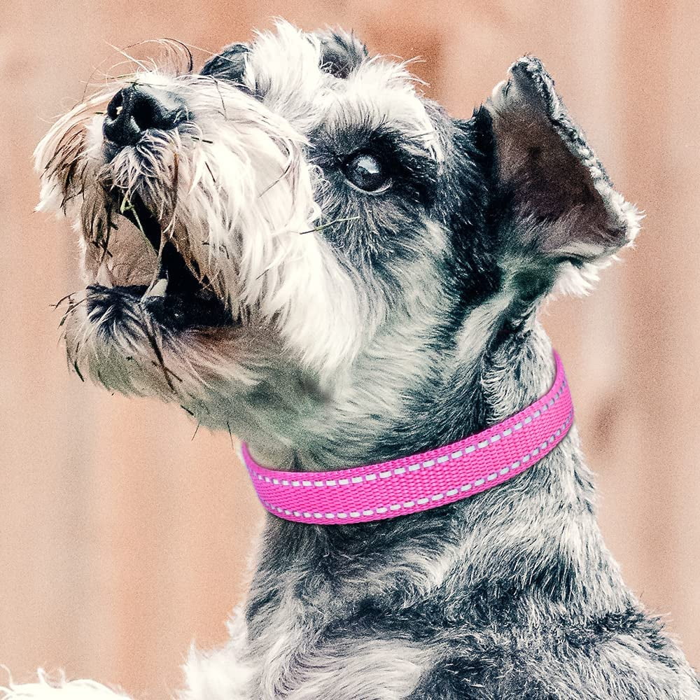 Paipaitek Shock Collar Replacement Strap, Reflective Adjustable Dog Replacement Collars Fits Most of Pet Fence and Bark Collars Receivers - Durable & Adjustable -2 Pack