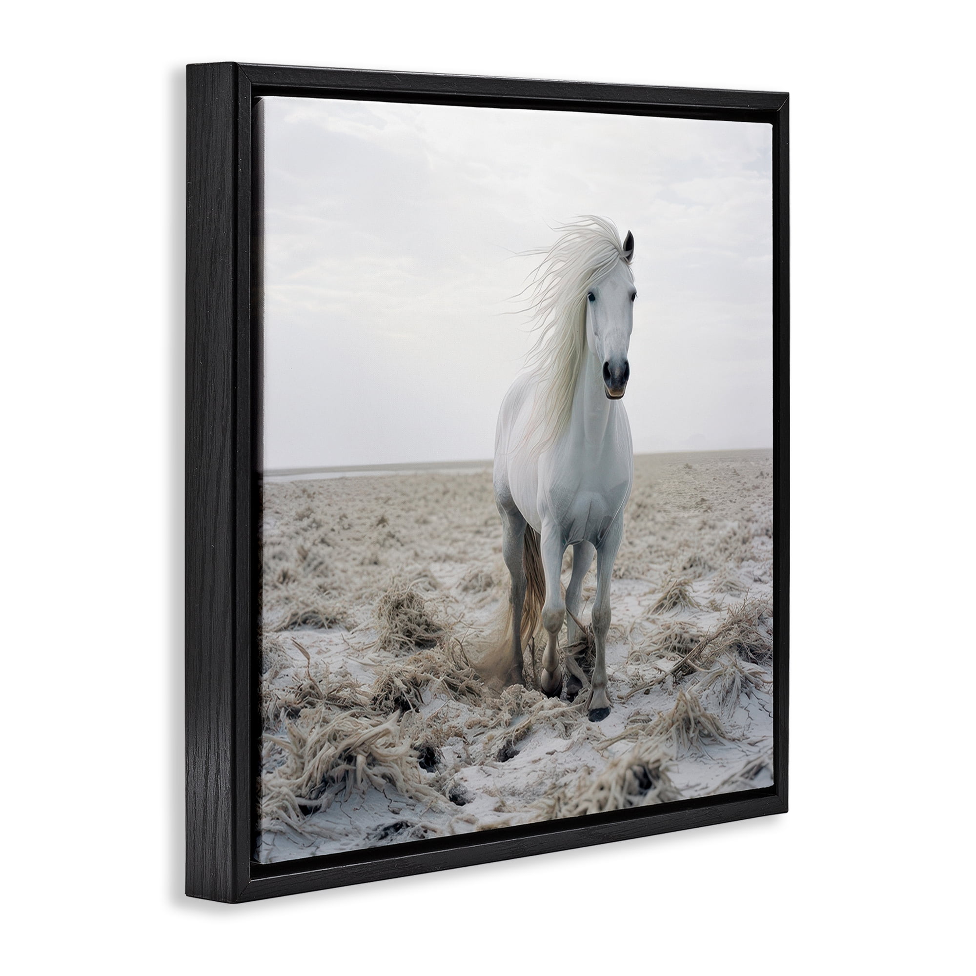 Stupell Industries Windswept Beach Horse Animals Photography Black Floater Framed Canvas Art Print Wall Art, 25 x 25